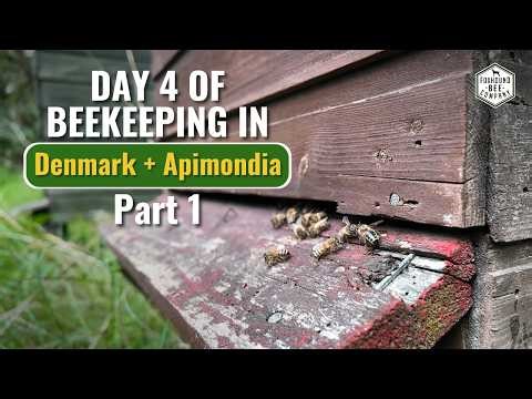 Day 4: Touring Bee Yards in Denmark - Apimondia 2025 (Part 1)