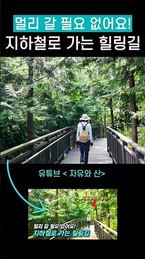 🚅 지하철로 가는 힐링 트레킹 #여행 #극내여행 #가을여행 #지하철여행 #트레킹 #둘레길