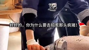 01.19-hh、怅惘无人觅残红-01