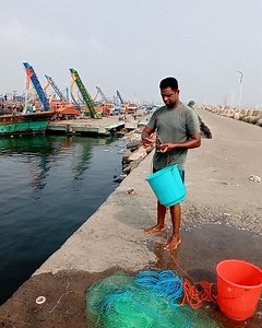 1.8M views · 10K reactions | Catching Real Sea Aquarium Fishes | Beautiful Color Fish Catching For Fish Tank #fishing #fishingvideos #thoondilulagam #seafishing #aquarium | Thoondil Ulagam - Fishing | Facebook