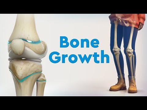 Bone Growth and Limb Deformities