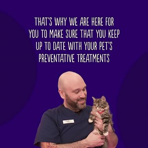 115K views · 389 reactions | Make sure you keep up to date with your pet’s preventative flea and worm treatment to avoid any unwanted visitors this spring.  | Vets for Pets | Facebook