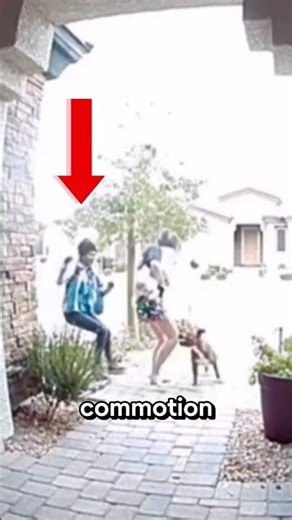 Amazon Driver vs. Aggressive Dog! 😱 #Hero