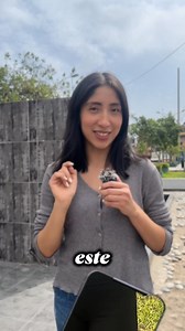 74 reactions |  70% gastos, 20% ahorro, 10% inversión.  Simple, ¿no? Aprende más en Tu caja te cuenta. Aprende más y GRATIS en www.tucajatecuenta.com.pe #Finanzas #TuCajaTeCuenta #Gratis #Cursos #FinanzasPersonales | Tu Caja te Cuenta | Facebook