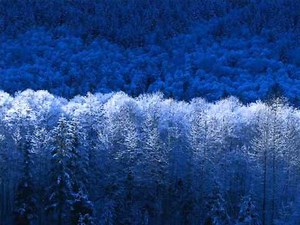 Looking For The Future 斉藤さおり