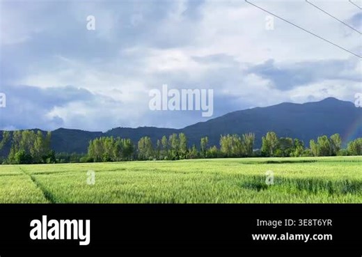 Pakistan Beautiful Countryside Landscape with Wheat Fields Mountains and Rainbow After Rain Stock Video Footage - Alamy