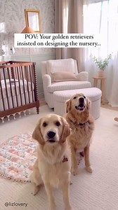 The CUTEST nursery space, approved by two furry friends🐶🐶 | Pottery Barn Kids