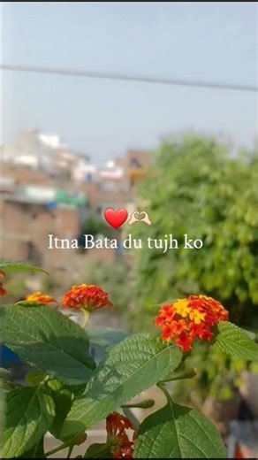 itna Bata du tujh ko ❤️ #songedit #newsong #songlyrics #aestheticsong #viralsong #sunnybubbles016