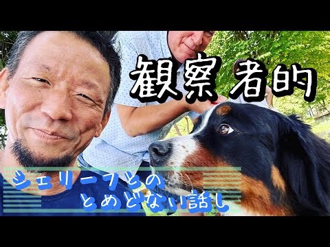 ピンチはチャンス❗️＃アセンション ＃イニシエーション ＃内観