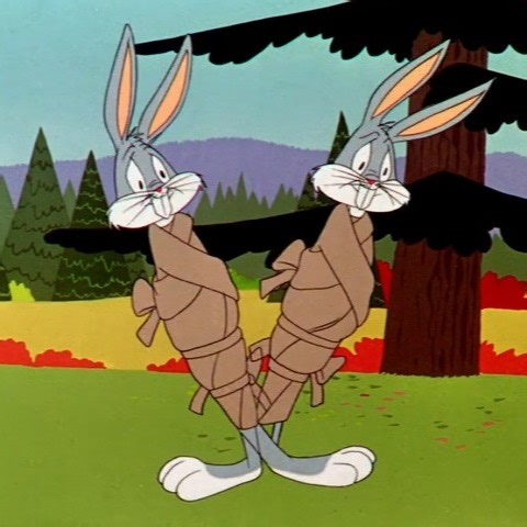 toons2remember on Instagram: "The Hasty Hare (1952) Directed by Chuck Jones Written by Michael Maltese Music by Carl W. Stalling Release date: June 7, 1952"