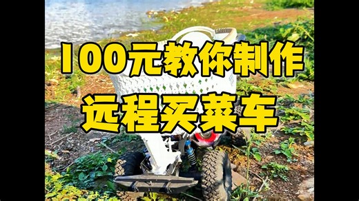 手机遥控远程买菜！