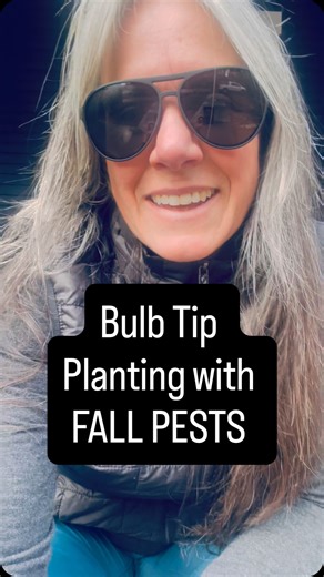 Tips for planting with fall bulb PESTS⬇️ Ground squirrels are so cute until they dig up your bulbs. They don't even eat them. Jerks. Gophers… Well, they are just always a pest. Here are some tips for your fall planted bulbs if you have gophers or ground squirrels. Gophers. I would suggest planting your bulbs in a gopher basket. You can find these online or at your local hardware store. They're a mesh basket that prevents things from eating your bulbs from under the ground. Ground squirrels are a