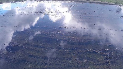 28K views · 310 reactions | April 2019 marked the 412th consecutive month with above average temperatures. Meteorologist Carl Parker breaks down the shocking details. | The Weather Channel | Facebook