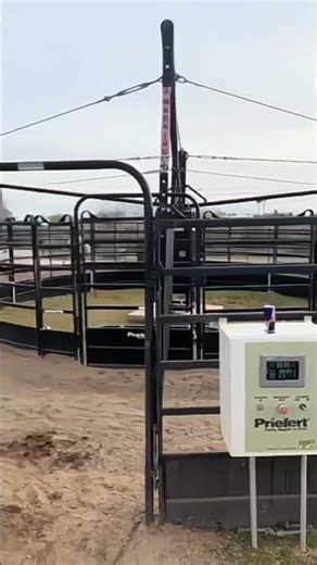 Dad thought we would get out easily... but it was difficult to get out 😱