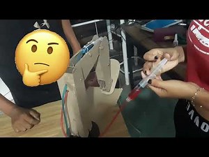 Pierna Hidráulica/Proyecto escolar/Principios de pascal/ Hazlo tu mismo y gana un 10