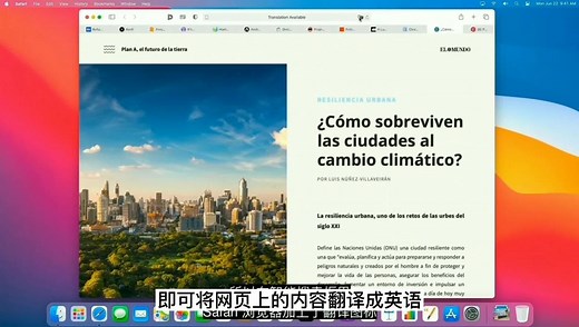 终于等到！iOS 14 全新功能：Safari 内置翻译，国内也能用了