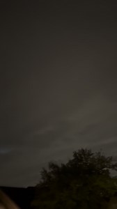 wtf is this | Shelly Awkward