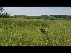 Pennsylvania hunting lease now available on HLRBO!
