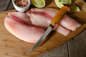 5 Best Fish Fillet Knives and the Traits That Make Them Great