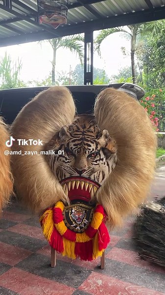 #AMD_ZAYN_MALIK #ponorogo_AE #fypシ゚ #bahanstorymuu #fypppppppppppppp