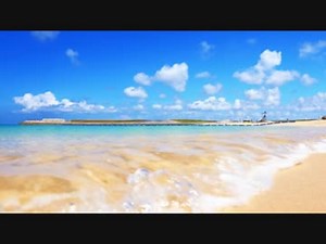 砂　貝殻　珊瑚のかけら　ビーチの波音【立体音響】