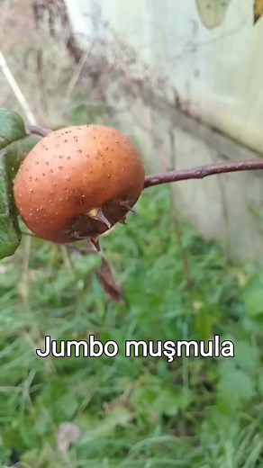 Yusuf Ustaoglu on Reels