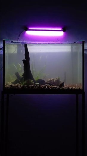 new setap🐠🦐🐌