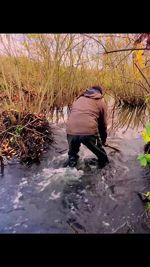 5.5K views · 117 reactions | Hand-Driven Dam Removal – Clearing Logs & Branches 嶺 #beaverdamremoval | The Video Corner | Facebook
