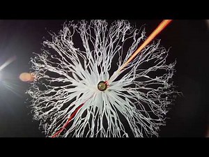 Best weather balloon pop you will ever see!