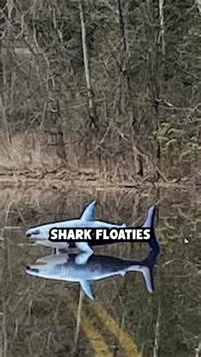 Should we keep Tiny Lake Tapps in #BonneyLake? | 98.9 THE BULL