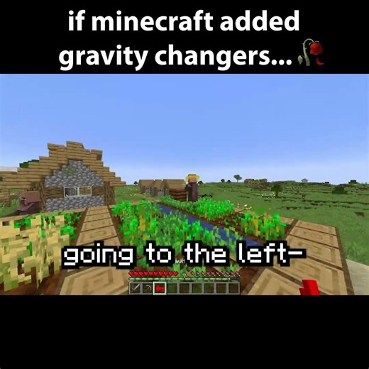 Minecraft But With Gravity Changers Be Like...