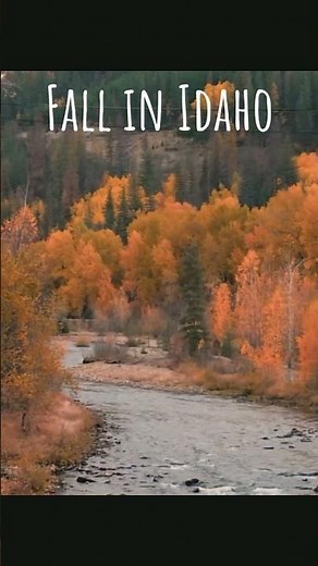 Fall in Idaho: Stunning Drone Views of Autumn Colors