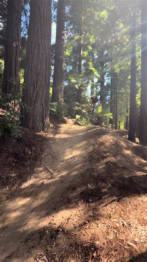 Mountain Biking Tricks: Tips for T-Bog Success