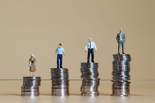 Le Revenu Minimum d'Insertion (RMI)