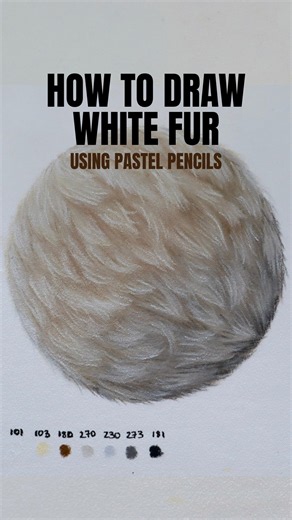 How I Draw Realistic White Fur with Pastels