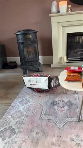 🐈‍⬛ Toto kitten playtime with M & S 🐈‍⬛🐈‍⬛ #kitten #cat #British #shorthair #britishshorthair #britishshorthairkitten | Susie's Boutique