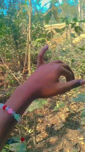 Billo Rani hand 🦋 dance # please like me🎄😭🪄