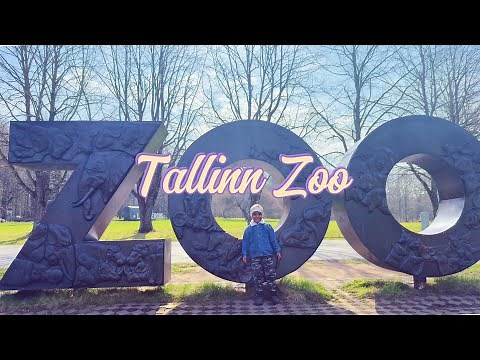 Tallinn Zoo Adventure 🐾 | Polar Bears, Rare Wildlife & Nature Trails