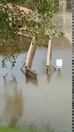 GATOR CRUISING FLOODED YARDS 🐊 This is just one of many reasons you do not get in flood waters. Video from just outside of Myrtle Beach, South Carolina today by Stephanie Giguiere | Kaitlin Wright Meteorologist