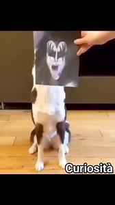 711K views · 5.8K reactions | I KISS sono una band rock statunitense,...