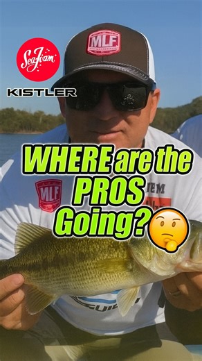 1.5K views · 394 reactions | Big moves and new chapters everywhere — pros shakin’, movin’ and retirin’ as the whole game shifts again!  And don’t worry, our sources say that @shawgrigsby PROBABLY won’t shave the bassin’ stache兩 See the full @seafoamworks @kistlerrods Top 5 on the Bass Blaster YouTube channel and at bassblaster.rocks | BassBlaster | Facebook