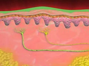 The Science Behind Biofreeze Pain Reliever