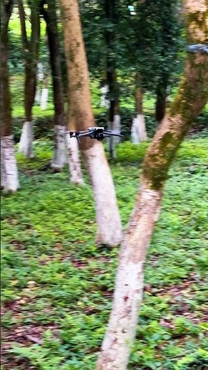 Test the obstacle avoidance function of DJI drones 🛸🛸🎥🎥🎬🎬 #flying #drone #dji