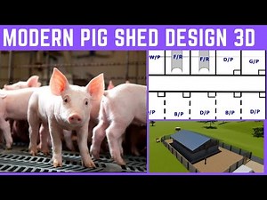 Modern Pig Shed | Pig Shed Design 3D