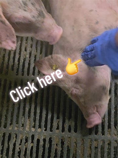 How to Teach Colleagues the Right Massage Techniques