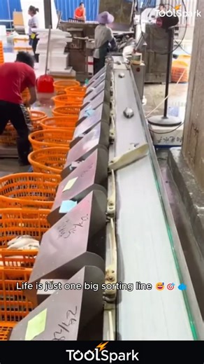 POV: You’re a Fish in the Most Advanced Sorting Machine Ever 🤣🐟#fish #sorting