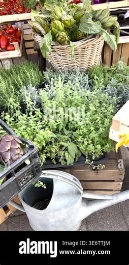 Footage montage featuring purple asparagus, zucchini flowers, artichokes and potted aromatic herbs. High-angle shots show seasonal produce in rustic wooden crates and wicker baskets. Highlights farm Stock Video Footage - Alamy