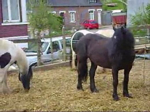 saillie up star de tjos - liberté