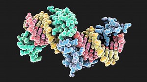 The First Gene Editing Procedure Has Begun in Humans