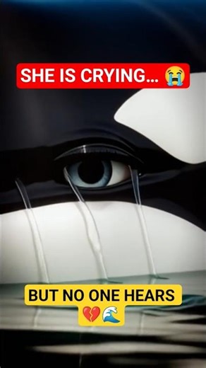 Part 51 | Orca Crying Alone in the Deep Ocean 😭🌊 | Heart Touching Emotional Scene